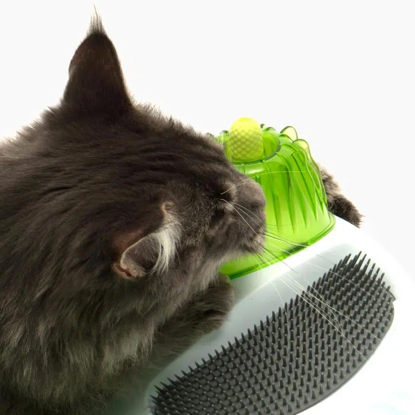Catit Senses Wellness Center